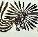 Kenojuak Ashevak (b. 1927), The Enchanted Owl, 1960, Stonecut
