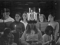 St. Lucia Celebration