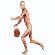 Basketball Player