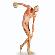 Discus Thrower