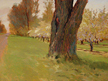 Stephen Duren