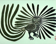 The Enchanted Owl, Kenojuak Ashevak, 1960, Stonecut