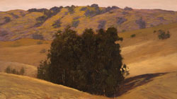 Stephen Duren, Eucalyptus Grove. 2006, Oil on board, 12 x 18 in. Collection of Stephen Duren. Detail. 