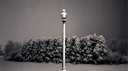 Bill Schwab, "Lamp Post / January Snowfall - Belle Isle, Detroit." 1991, Photograph. From the Collection of the Dennos Museum Center. Detail.
