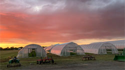 Film still from "Food and Country" of a farm at sunset.